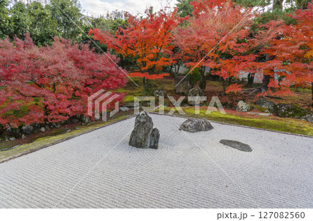 京都　相国寺　紅葉が見頃の開山堂庭園「龍渕水の庭」 127082560