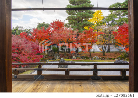 京都　相国寺　紅葉が見頃の開山堂庭園「龍渕水の庭」 127082561