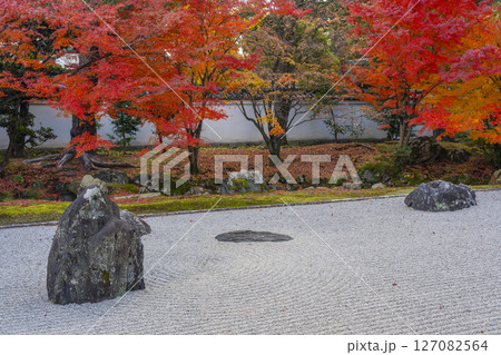 京都　相国寺　紅葉が見頃の開山堂庭園「龍渕水の庭」 127082564