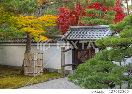 京都　相国寺　紅葉が見頃の開山堂庭園「龍渕水の庭」 127082569