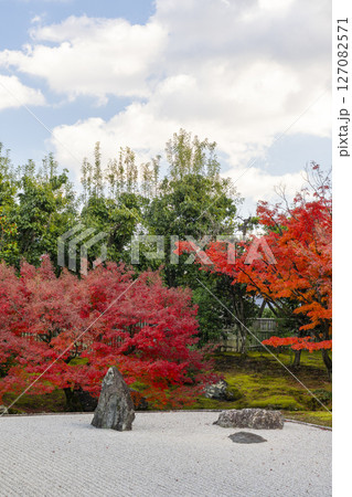 京都 相国寺 紅葉が見頃の開山堂庭園「龍渕水の庭」 京都 相国寺 紅葉が見頃の開山堂庭園「龍渕水の庭」 127082571