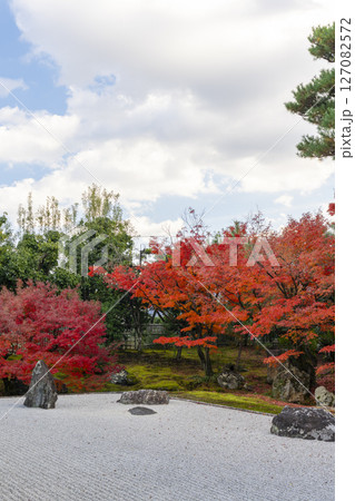 京都　相国寺　紅葉が見頃の開山堂庭園「龍渕水の庭」 127082572
