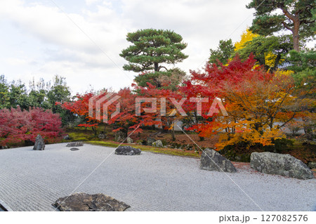 京都　相国寺　紅葉が見頃の開山堂庭園「龍渕水の庭」 127082576