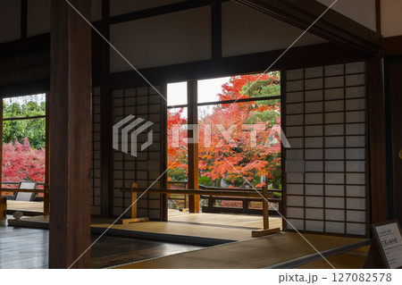 京都 相国寺 紅葉が見頃の開山堂庭園「龍渕水の庭」 京都 相国寺 紅葉が見頃の開山堂庭園「龍渕水の庭」 127082578