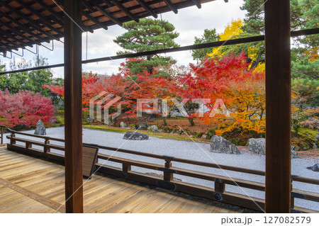 京都　相国寺　紅葉が見頃の開山堂庭園「龍渕水の庭」 127082579