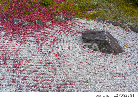 京都 相国寺 紅葉が見頃の開山堂庭園「龍渕水の庭」 京都 相国寺 紅葉が見頃の開山堂庭園「龍渕水の庭」 127082581