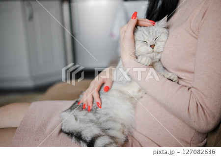 The woman's fingers curl slightly under the chin of the beautiful gray cat 127082636