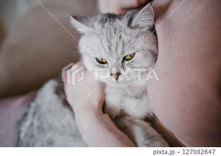 The woman sits comfortably on the couch The woman sits comfortably on the couch 127082647