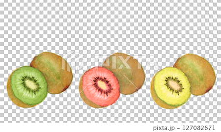 水彩で描いたフレッシュな三種のキウイフルーツのイラスト素材【手描き】白バック 切り抜き用   127082671