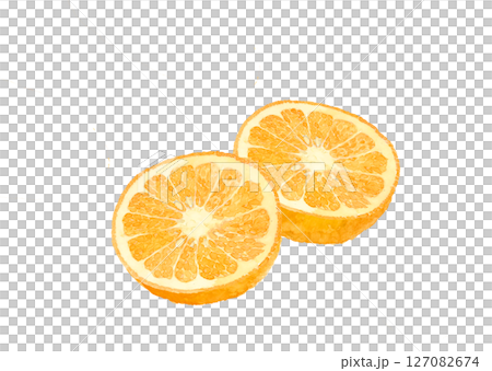 Illustration material of amanatsu cut in half, drawn in watercolor [hand-drawn] on a white background, for cutting out, with copy space 127082674