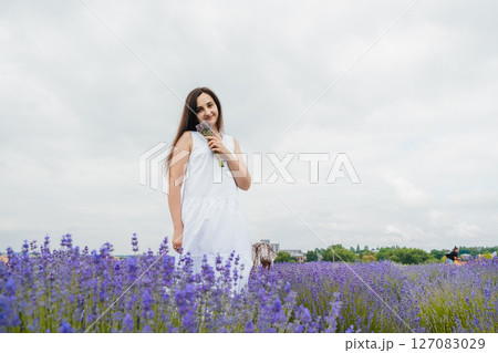 A young woman in a white dress stands in the lavender field 127083029