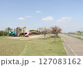 春の青空と咲き始めた桜の花の公園 127083162