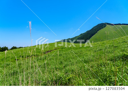 初夏の曽爾高原 高原入り口から見た風景 丘の向こうに見える日本ボソ北側斜面 初夏の曽爾高原 高原入り口から見た風景 丘の向こうに見える日本ボソ北側斜面 127083504