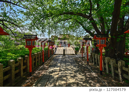 六孫王神社　新緑 127084579