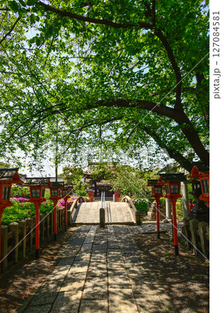六孫王神社 新緑 六孫王神社 新緑 127084581