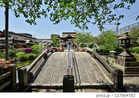 六孫王神社　新緑 127084582