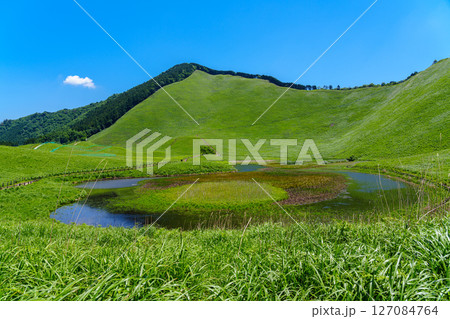 初夏の曾爾高原 高原入り口広場から見た風景 高原を囲む山並みを背景に広がる草原とお亀池 正面二本ボソ 初夏の曾爾高原 高原入り口広場から見た風景 高原を囲む山並みを背景に広がる草原とお亀池 正面二本ボソ 127084764