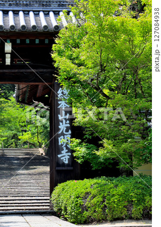 青紅葉　新緑の紅葉が楽しめる　京都・長岡京　光明寺　山門 127084938