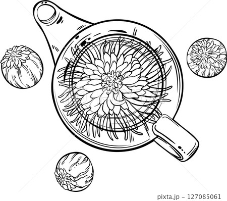 Flowering Tea isolated Outline Illustration Flowering Tea isolated Outline Illustration 127085061