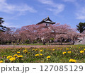 満開の桜と松前城 127085129