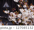 満開の桜と松前城 127085132