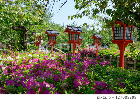 六孫王神社　ツツジ 127085299