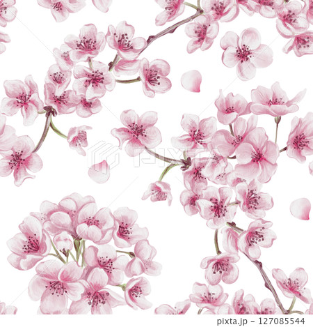 Seamless pattern with sakura flowers. Cherry blossom festival. Small pink flowers on branches. Petals and leaves. Watercolor illustration isolated from background. Hand drawing. Seamless pattern with sakura flowers. Cherry blossom festival. Small pink flowers on branches. Petals and leaves. Watercolor illustration isolated from background. Hand drawing. 127085544