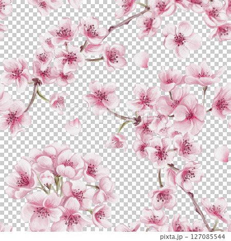 Seamless pattern with sakura flowers. Cherry blossom festival. Small pink flowers on branches. Petals and leaves. Watercolor illustration isolated from background. Hand drawing. Seamless pattern with sakura flowers. Cherry blossom festival. Small pink flowers on branches. Petals and leaves. Watercolor illustration isolated from background. Hand drawing. 127085544