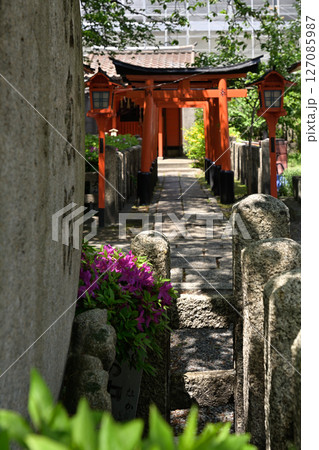 六孫王神社摂社　睦称稲荷神社と山吹 127085987