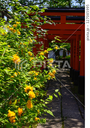六孫王神社摂社　睦称稲荷神社と山吹 127085995