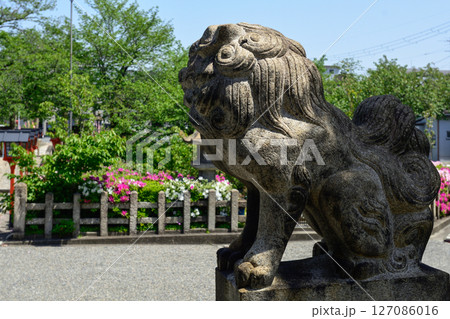六孫王神社 狛犬 六孫王神社 狛犬 127086016