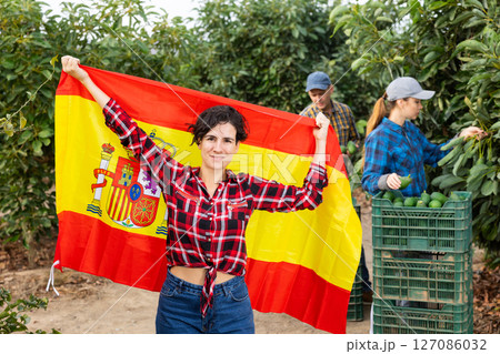 Happy young Latin female waving Spanish flag during avocado harvesting season on farm 127086032