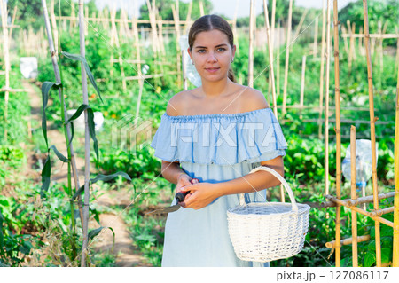 Portrait of positive woman with basket and gardening tools at field 127086117