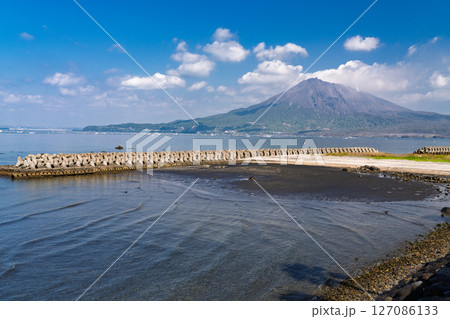 《鹿児島県》桜島をのぞむ海岸線 127086133