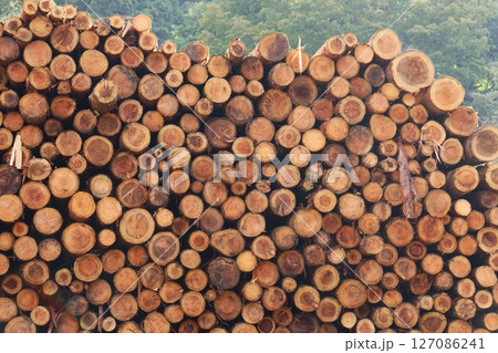 材木置き場 丸太 間伐材 山積み 材木置き場 丸太 間伐材 山積み 127086241