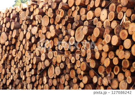 材木置き場　丸太　間伐材　山積み 127086242