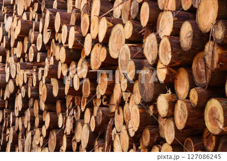 材木置き場　丸太　間伐材　山積み 127086245