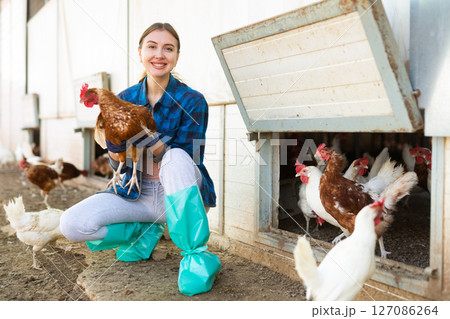 Happy young woman farmer holding chicken in hands on farm 127086264