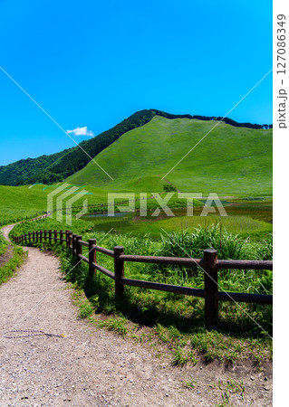 初夏の曾爾高原 お亀池の周囲をめぐる遊歩道 入り口から亀山登り口方向 縦 初夏の曾爾高原 お亀池の周囲をめぐる遊歩道 入り口から亀山登り口方向 縦 127086349