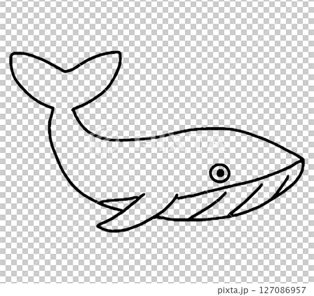 鯨魚手繪插圖 鯨魚手繪插圖 127086957