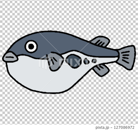 フグの手描きイラスト 127086972
