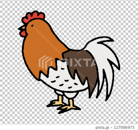 Hand-drawn illustration of Awaodori chicken 127086973