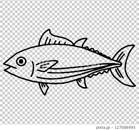 Hand-drawn illustration of bonito Hand-drawn illustration of bonito 127086995