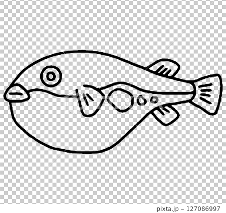 フグの手描きイラスト 127086997
