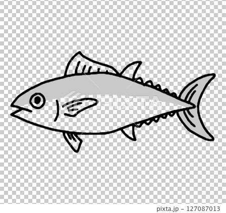 マグロの手描きイラスト 127087013