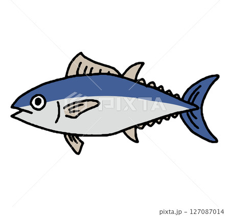 マグロの手描きイラスト 127087014
