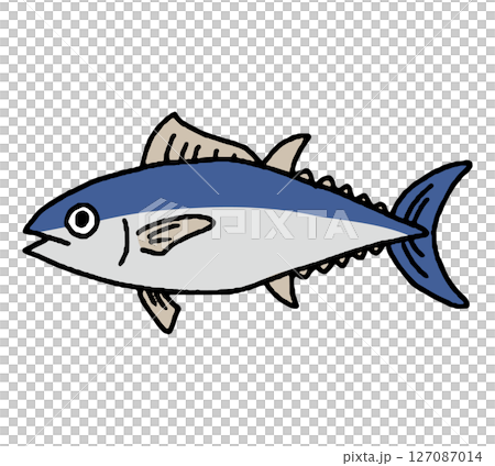 マグロの手描きイラスト 127087014