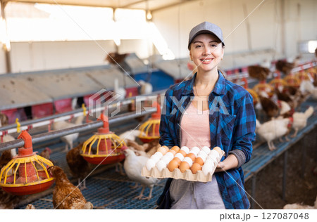 Smiling european woman in plaid shirt and cap collecting eggs in chicken farm Smiling european woman in plaid shirt and cap collecting eggs in chicken farm 127087048