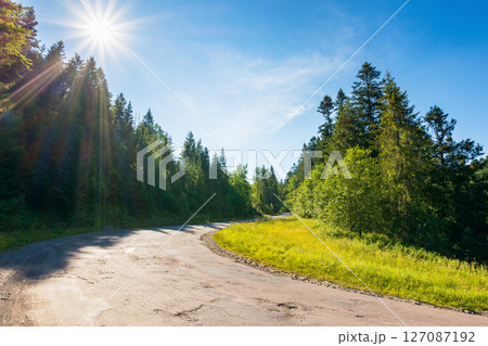 pass through green coniferous forest. sun on the blue sky. old road in carpathian mountains. volovets district of transcarpathia region, ukraine. travel landscape in summer on a sunny day pass through green coniferous forest. sun on the blue sky. old road in carpathian mountains. volovets district of transcarpathia region, ukraine. travel landscape in summer on a sunny day 127087192