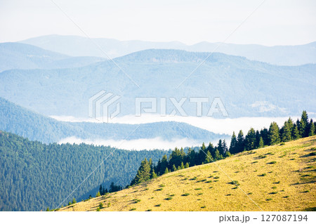 mountain landscape of ukrainian alps in summer. peaceful nature scenery. morning scenery with fog in the distant valley. forest on the steep slope of chornohora ridge. outdoor adventure 127087194